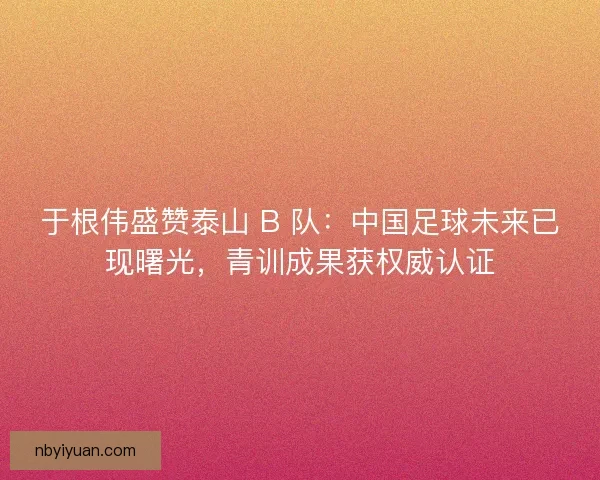 于根伟盛赞泰山 B 队：中国足球未来已现曙光，青训成果获权威认证