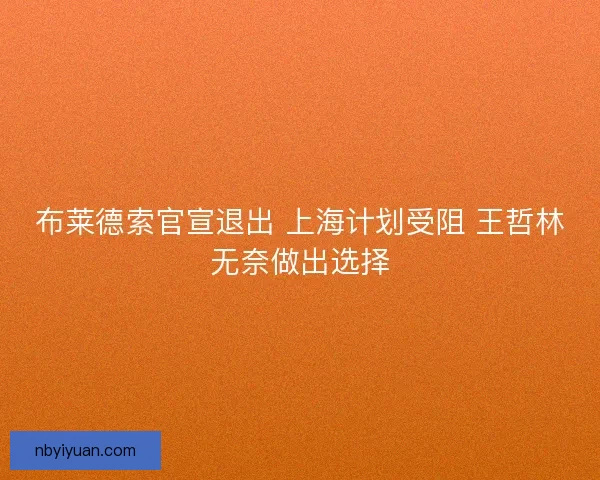 布莱德索官宣退出 上海计划受阻 王哲林无奈做出选择