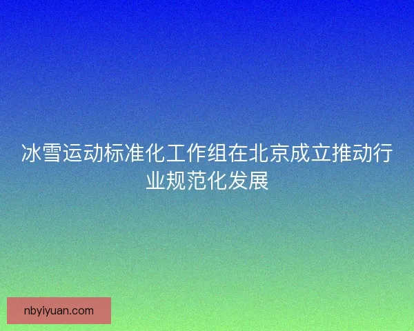 冰雪运动标准化工作组在北京成立推动行业规范化发展
